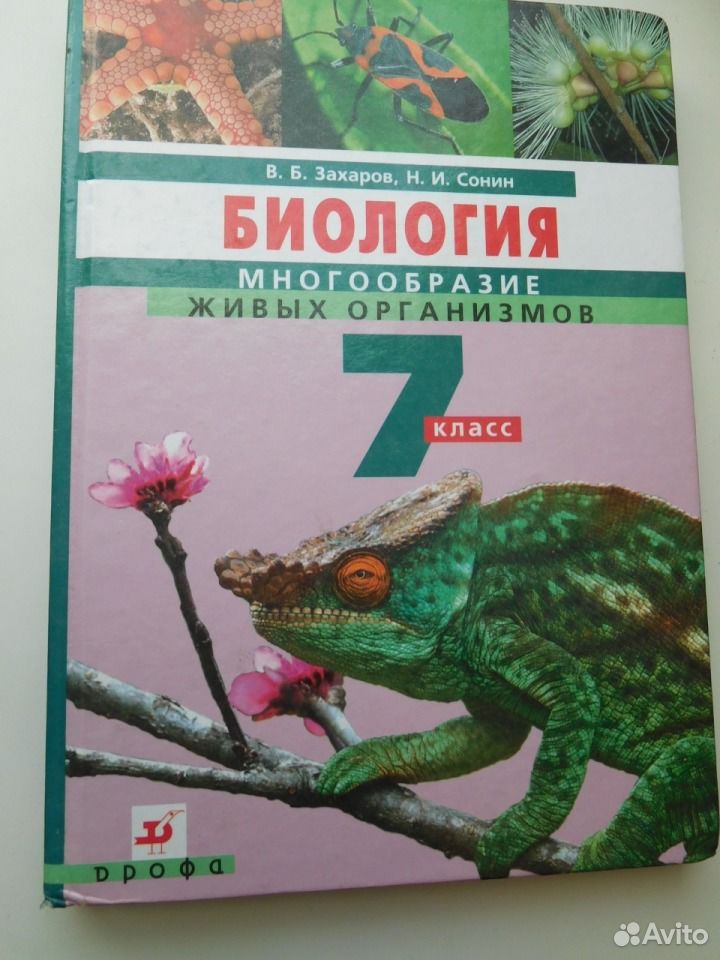 Купить Учебник Биологии 8 Класс Авито