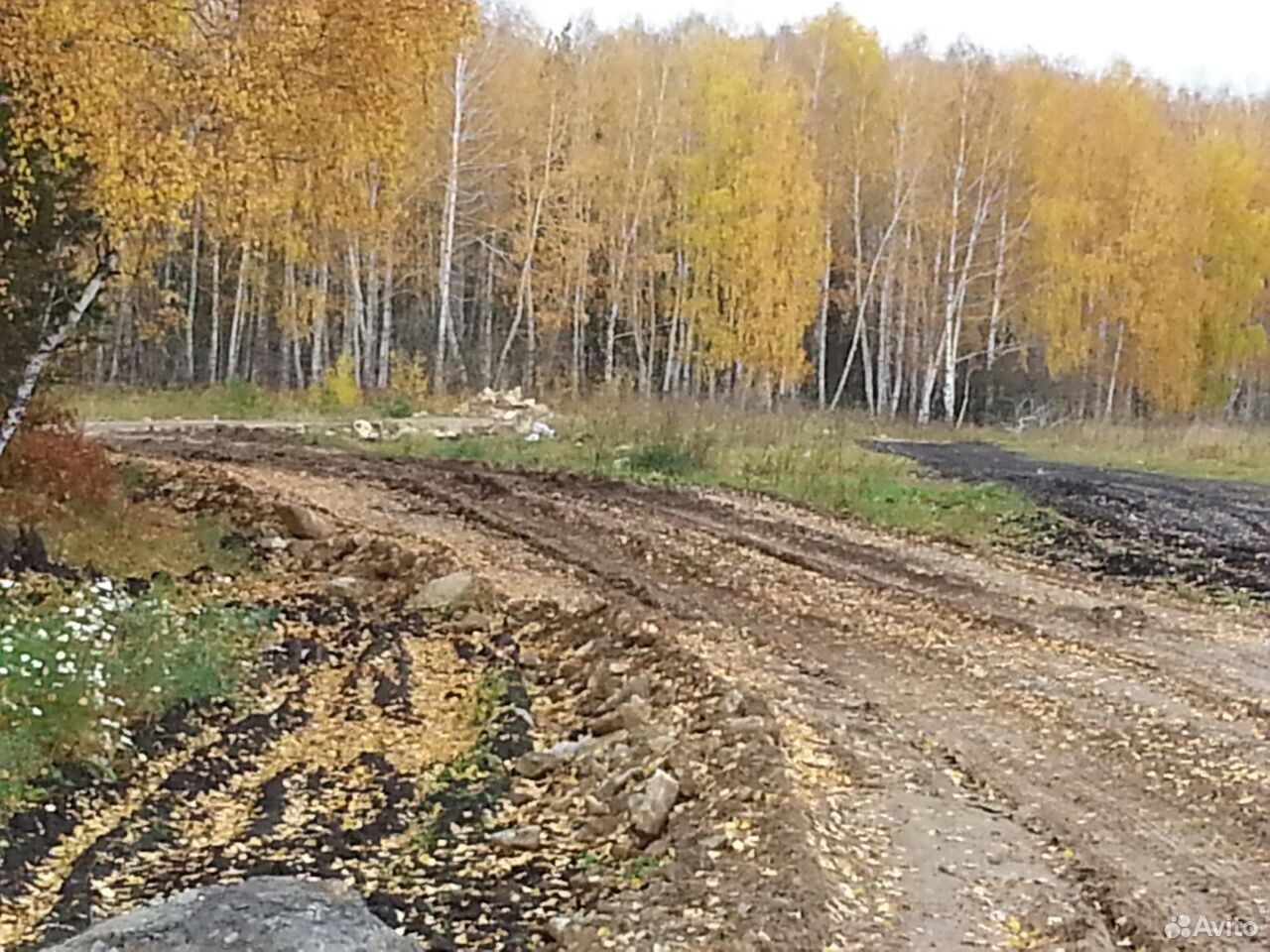 Село большебрусянское свердловская. Большебрусянское Свердловская область. Деревня большие Брусяны. Свалка в больших Брусянах Свердловская область. СНТ Надежда Большебрусянское 49 км.