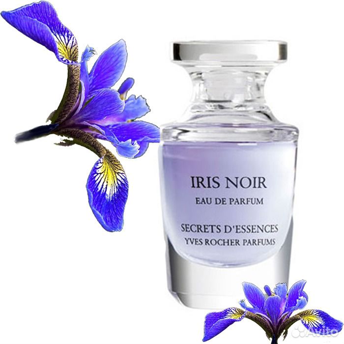 Parfum iris. Ив Роше духи черный черный Ирис. Ив Роше духи Ирис. Духи Ив Роше ночной Ирис. Ив Роше духи Ирис Нуар.