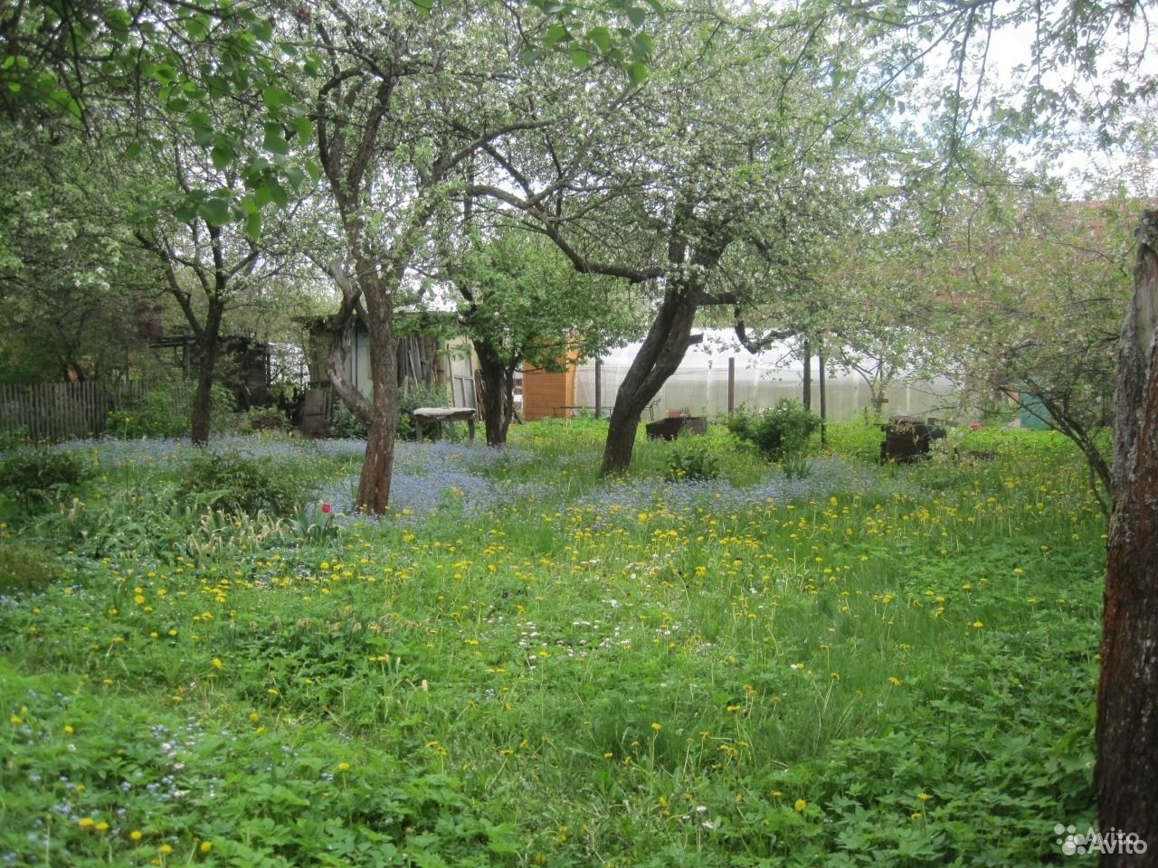 Купить Дом В Пазушино Ярославль