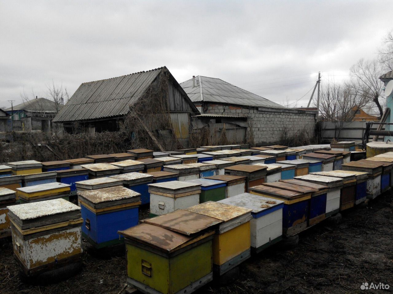 Пчела купить на Зозу.ру - фотография № 4