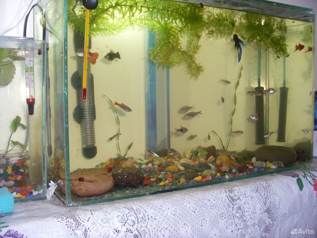 Продается аквариум купить на Зозу.ру - фотография № 2