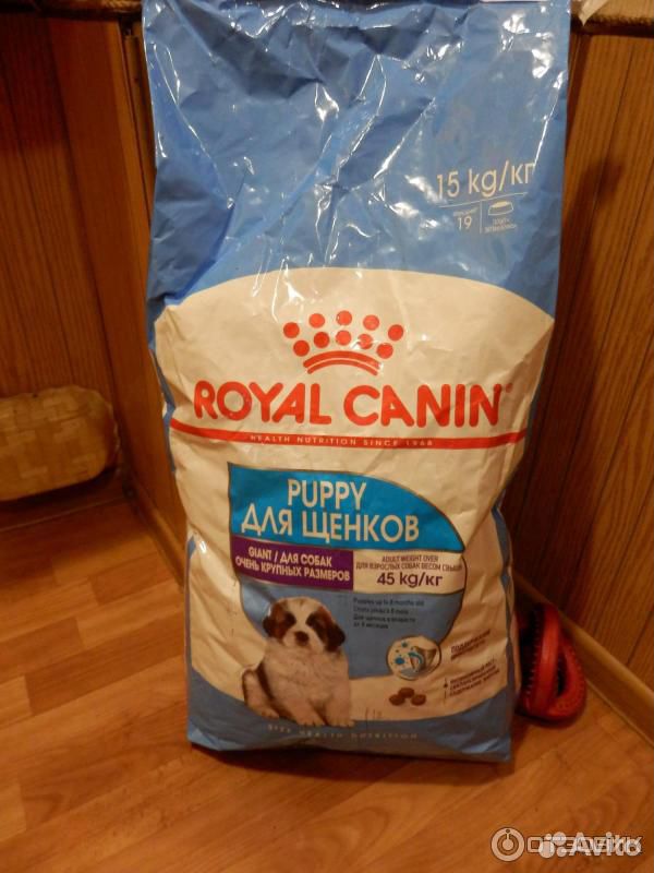 Роял канин гигант. Royal Canin giant Puppy 15 кг. Роял Канин giant Puppy. Корм Роял Канин для собак Джайнт Паппи. Роял Канин giant Puppy 17кг.