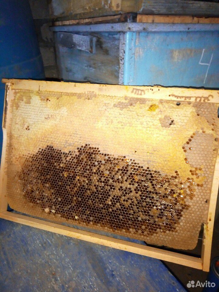 Рамки с мёдом купить на Зозу.ру - фотография № 1