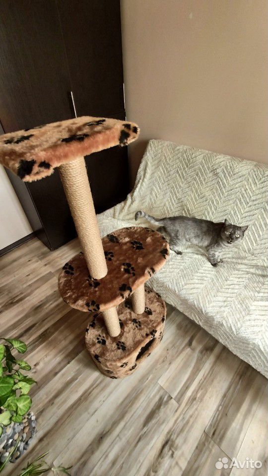 Кошачий домик купить на Зозу.ру - фотография № 2