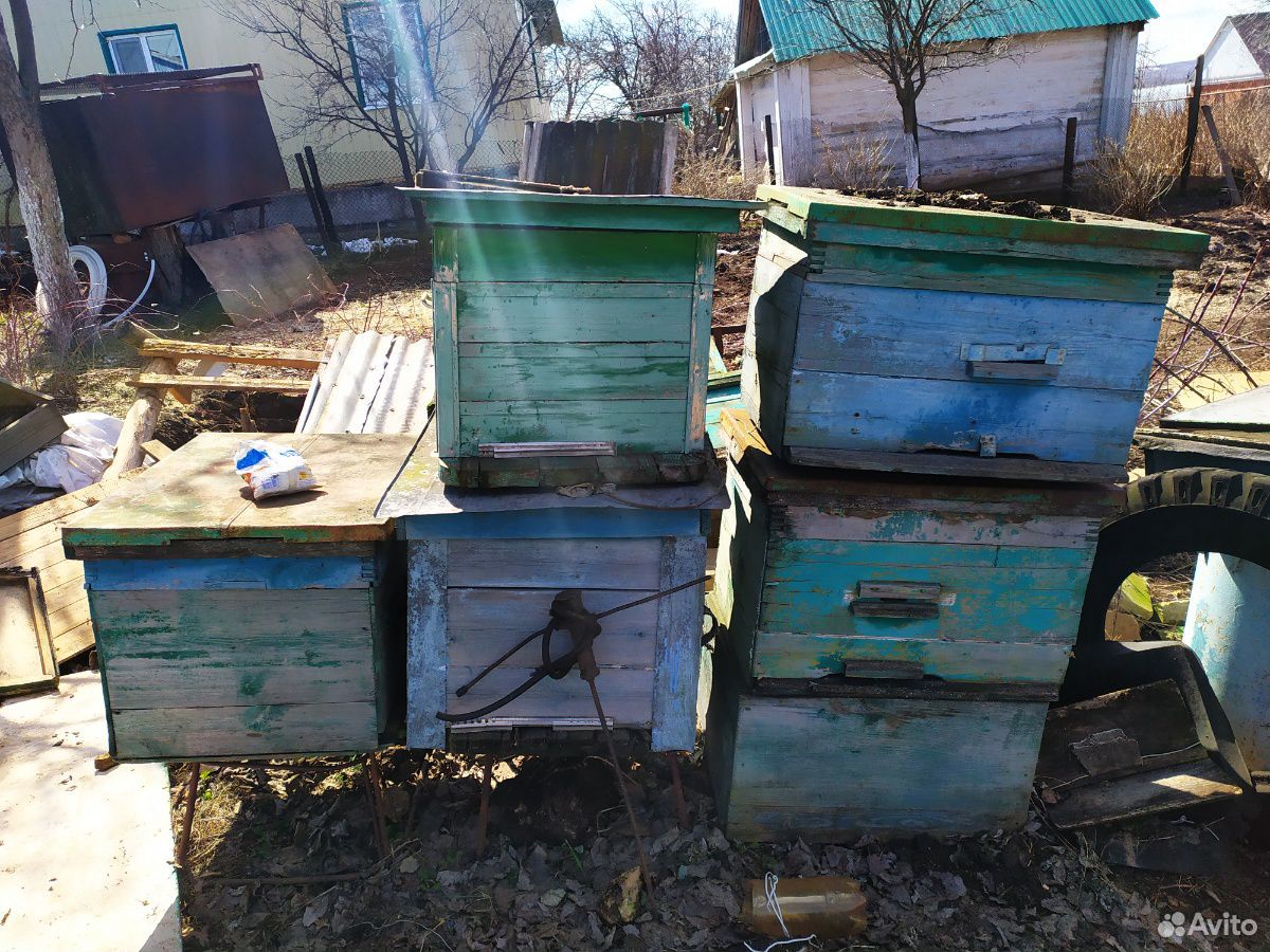 Улей пчелиный купить на Зозу.ру - фотография № 1