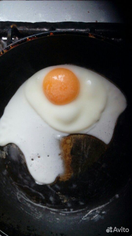 Яйцо инкубационное утиное купить на Зозу.ру - фотография № 1