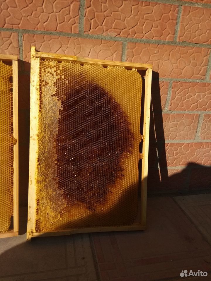 Продаю суш для пчёл купить на Зозу.ру - фотография № 4