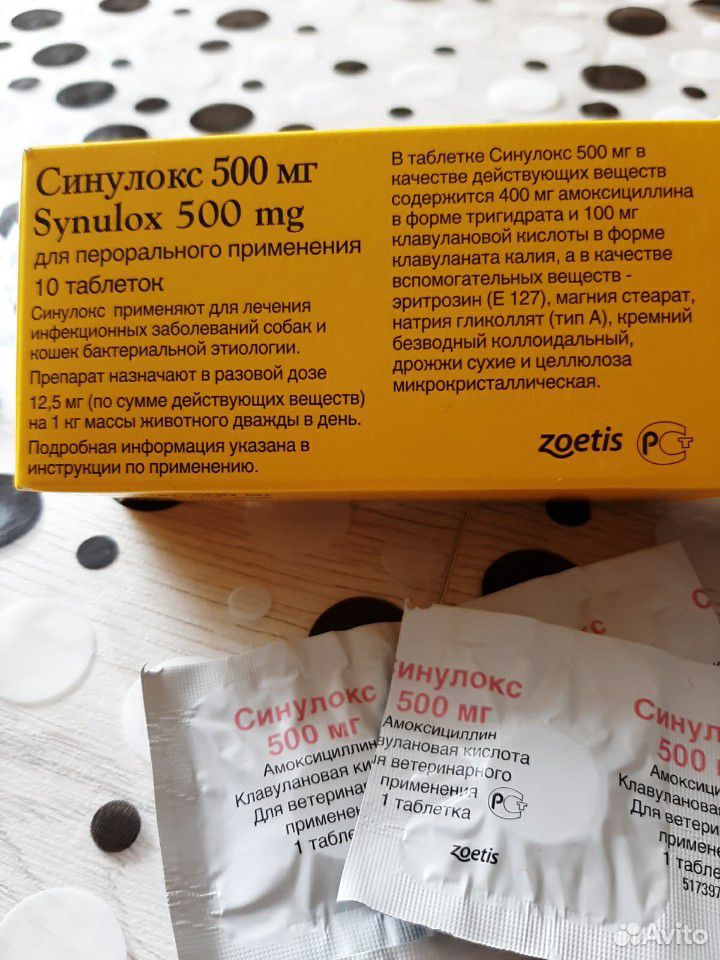 Синулокс 500 мг купить на Зозу.ру - фотография № 1