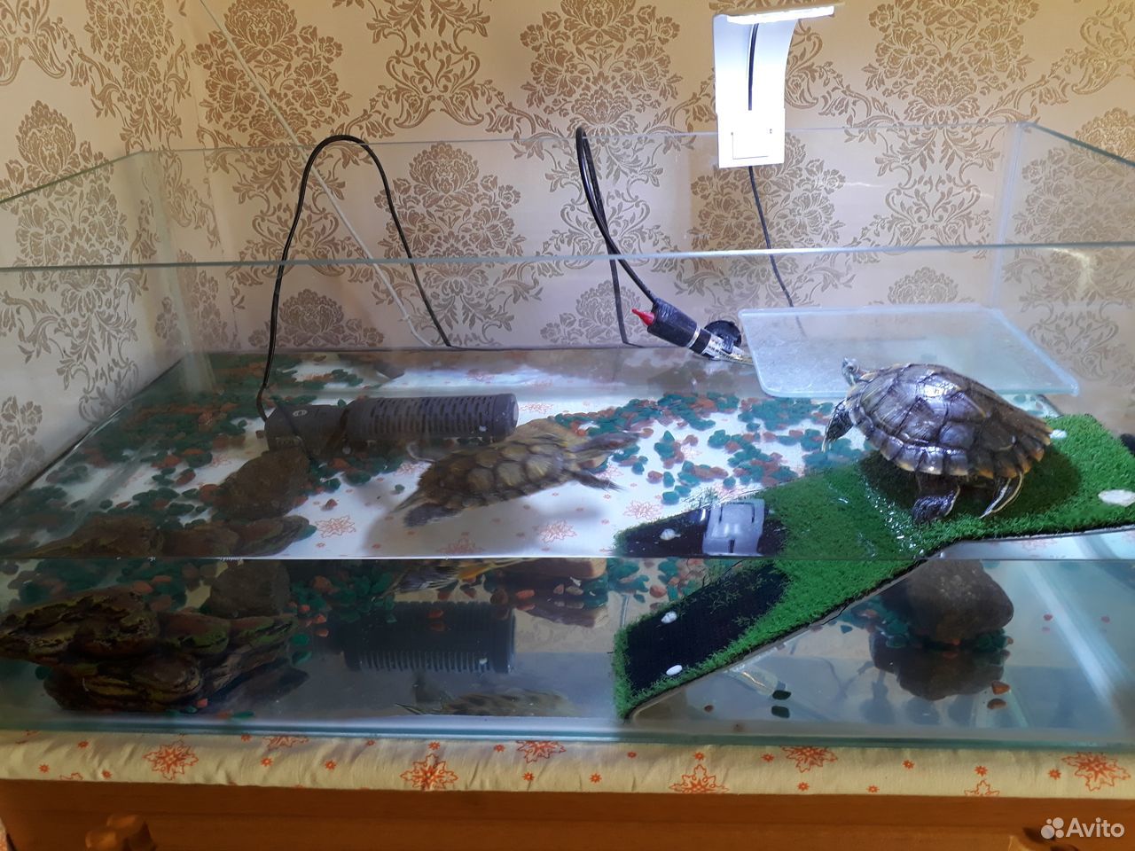 Аквариум,черепахи (2шт),фильтр,лампа,водонагревате купить на Зозу.ру - фотография № 1