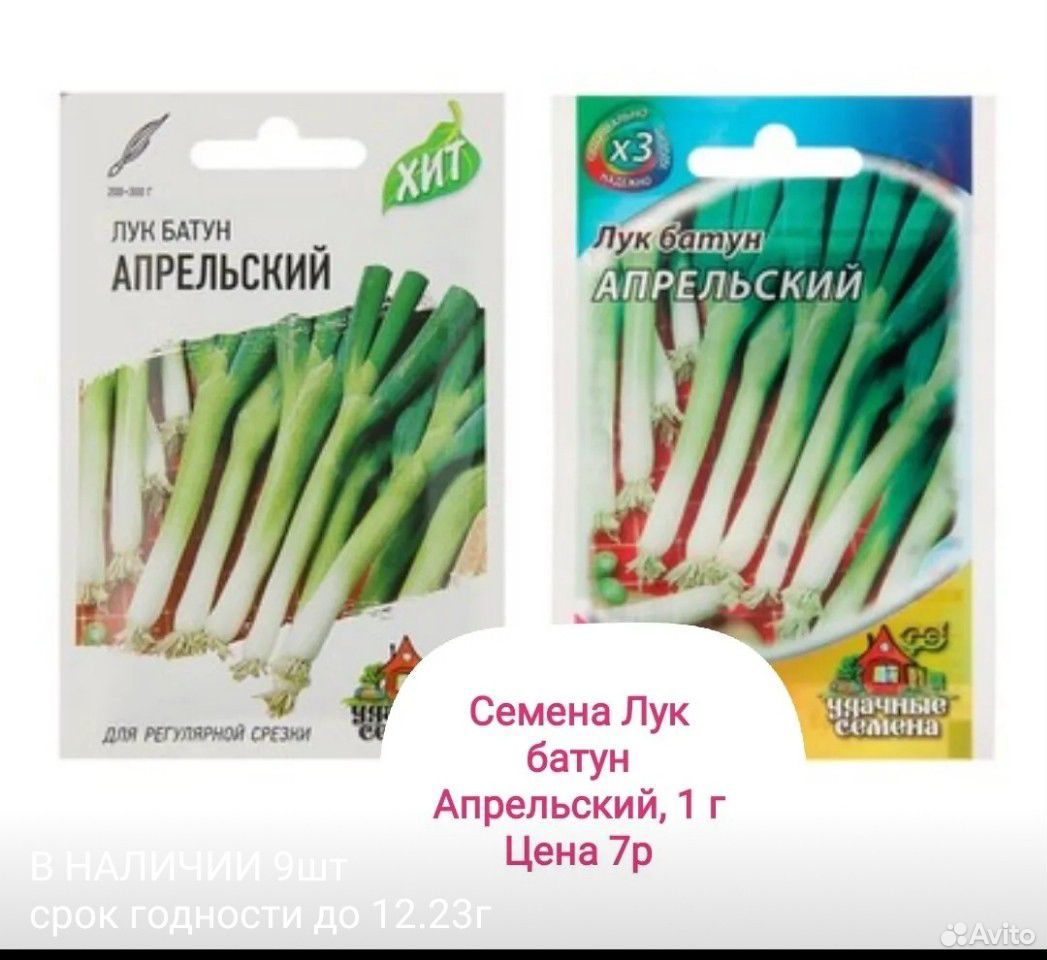 Семена лука, укропа купить на Зозу.ру - фотография № 1