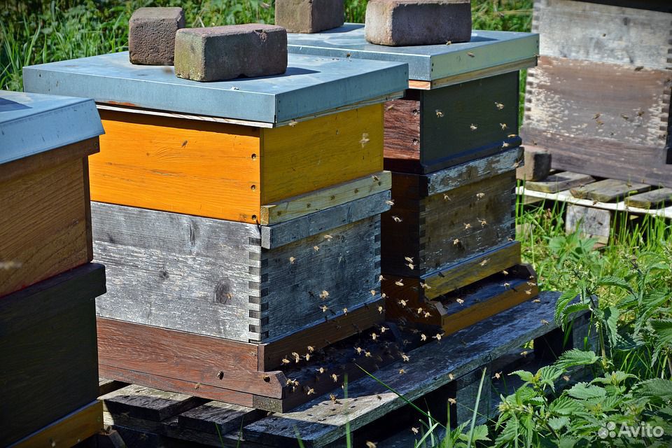 Улья для пчёл и медогонка купить на Зозу.ру - фотография № 1