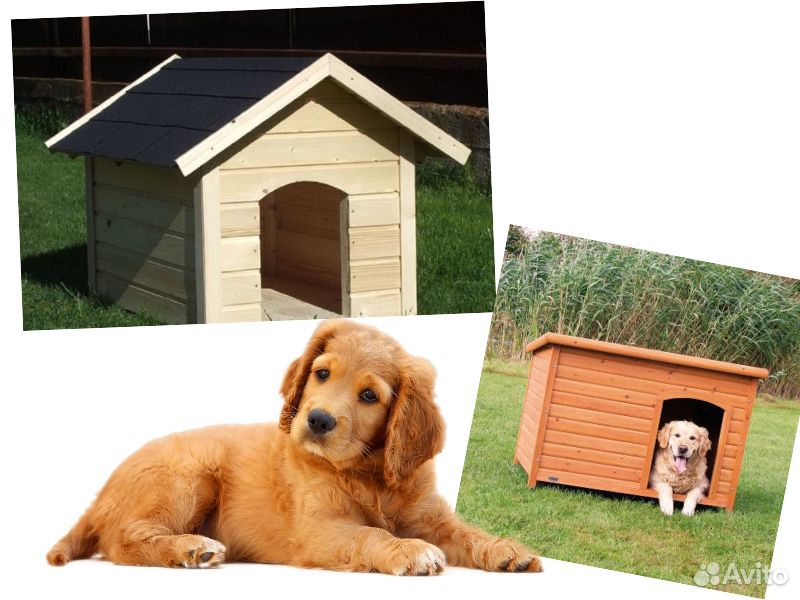 Будка для собаки дворняжки, деревянные стены 2х2 купить на Зозу.ру - фотография № 3