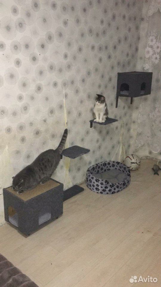 Настенный домик для кошки купить на Зозу.ру - фотография № 3