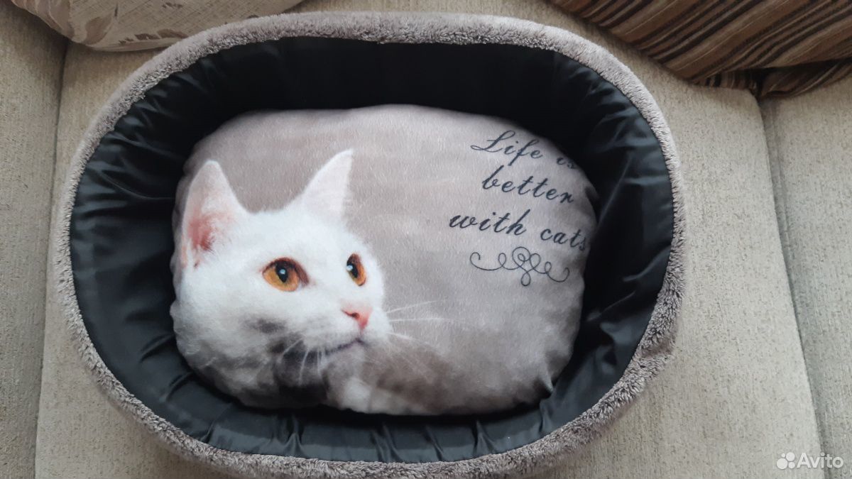 Лежак для кота купить на Зозу.ру - фотография № 1