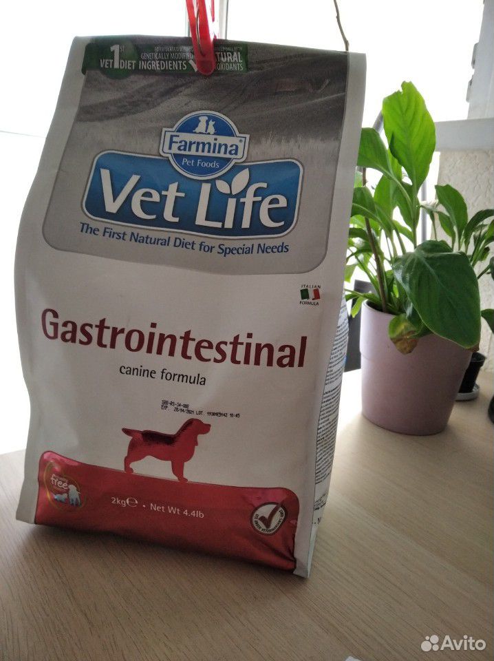 Vet life корм для собак купить. VETLIFE гастроинтестинал для собак. Vet Life Gastrointestinal для кошек. Vet Life Gastrointestinal для кошки 12 баночек. Vet Life Gastrointestinal для собак купить.