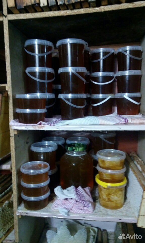 Продажа мёда купить на Зозу.ру - фотография № 1