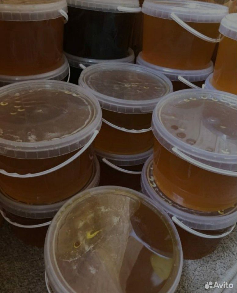 Свежий мёд купить на Зозу.ру - фотография № 1