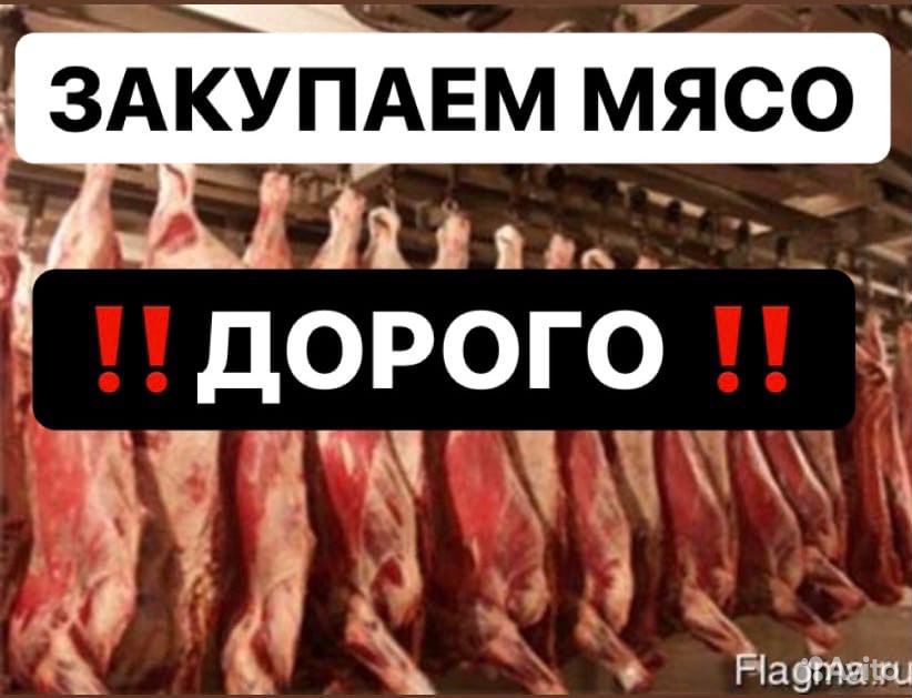 Мясо купить на Зозу.ру - фотография № 1
