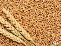 Зерно: пшеница, овёс, дроблёнка