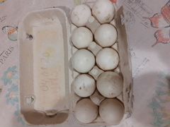 Инкубационное яйцо индоутки (мускусной утки)
