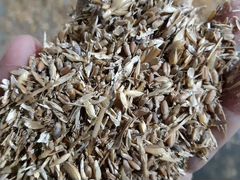 Отход пшеницы+ячмень
