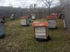 Ульи с пчелами 10 семей