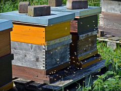 Улья для пчёл и медогонка