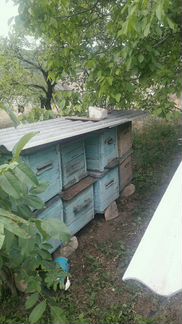 Не стандартные пчелинные ящики из чистого ореховог