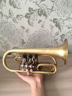 Труба (Музыкальный Инструмент)