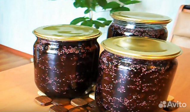 Паслен Черный Фото Съедобный Варенье