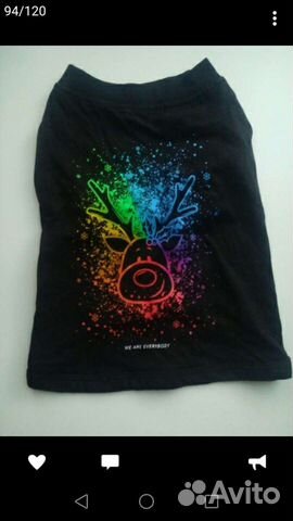 Одежда для животных