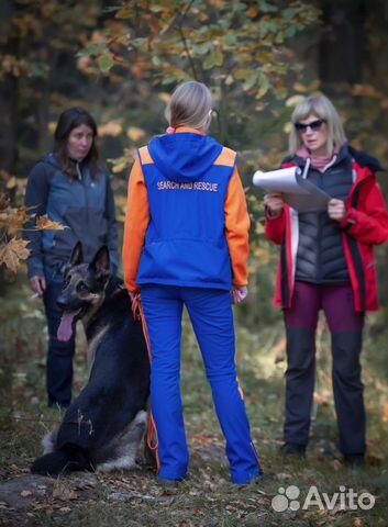 Кинолог. Дрессировка собак