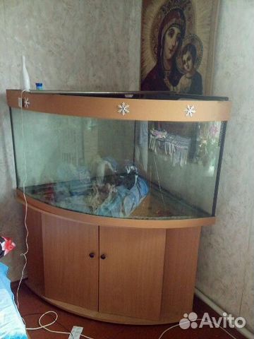Угловой панорамный аквариум купить на Зозу.ру - фотография № 1