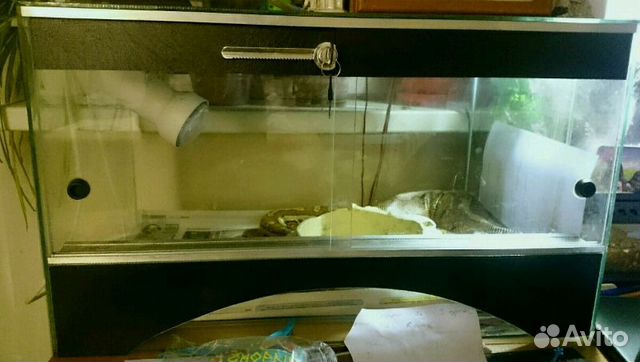 Террариумы/аквариумы для экзотических животных