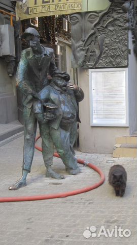 Репетиторство история и обществознание