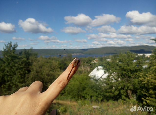 Участок 12 сот. (ИЖС) Участок 12 сот. (ИЖС)