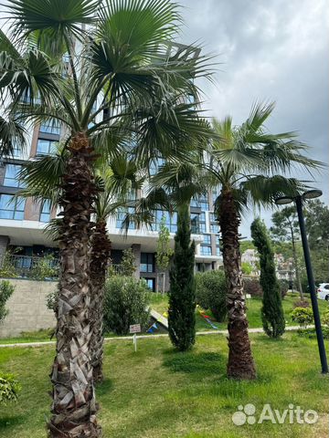 

1-к. квартира, 31,6 м², 2 кровати