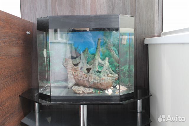 Продам аквариум в хорошем состоянии купить на Зозу.ру - фотография № 1