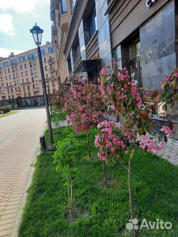 

3-к. квартира, 52 м², 4 кровати