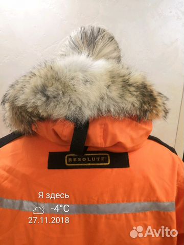 Canada goose Resolute Canada goose Resolute