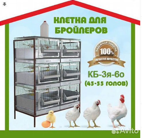 Клетки для бройлеров чертежи