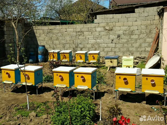 Дом для пчел (улей) купить на Зозу.ру - фотография № 8