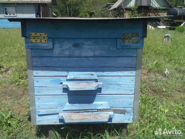 Инвентарь для пчёл купить на Зозу.ру - фотография № 1