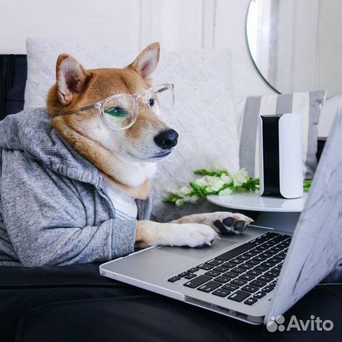 Создание сайтов