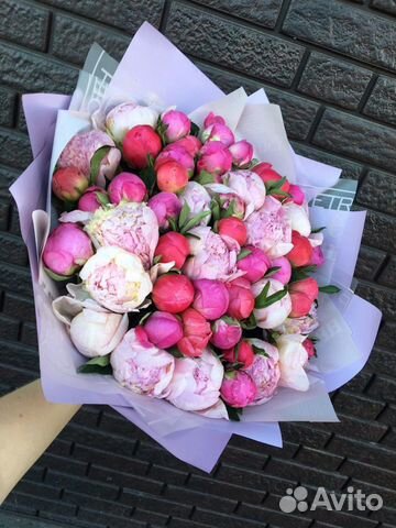 Пионы Пионы