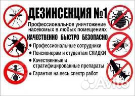 Уничтожение клопов, тараканов, крыс, мышей, клещей