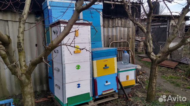 Улья для пчёл купить на Зозу.ру - фотография № 1