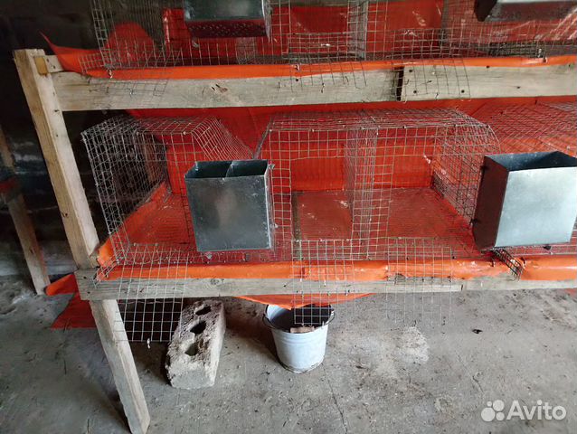 Клетки для кроликов, откормочные купить на Зозу.ру - фотография № 4