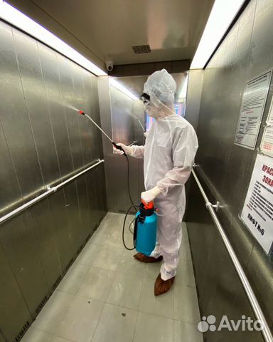 Дезинфекция, дезинсекция с лицензией по договору Дезинфекция, дезинсекция с лицензией по договору